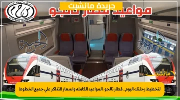 لتخطيط رحلتك اليوم.. قطار تالجو المواعيد الكاملة وأسعار التذاكر على جميع الخطوط 1